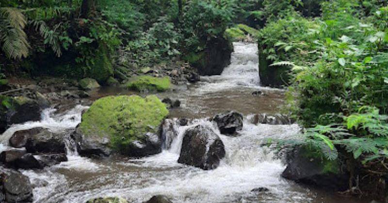 maps.google.com/hanifah usada